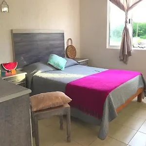 Pitaya Playa Vacacional México